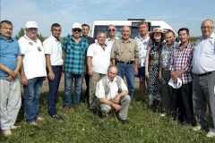 “Фәйзуллин йөзүләре”. 2018 ел